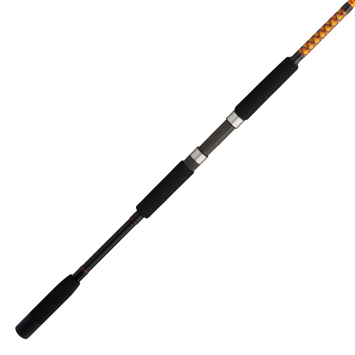 Bigwater 2-Piece Spinning Rod