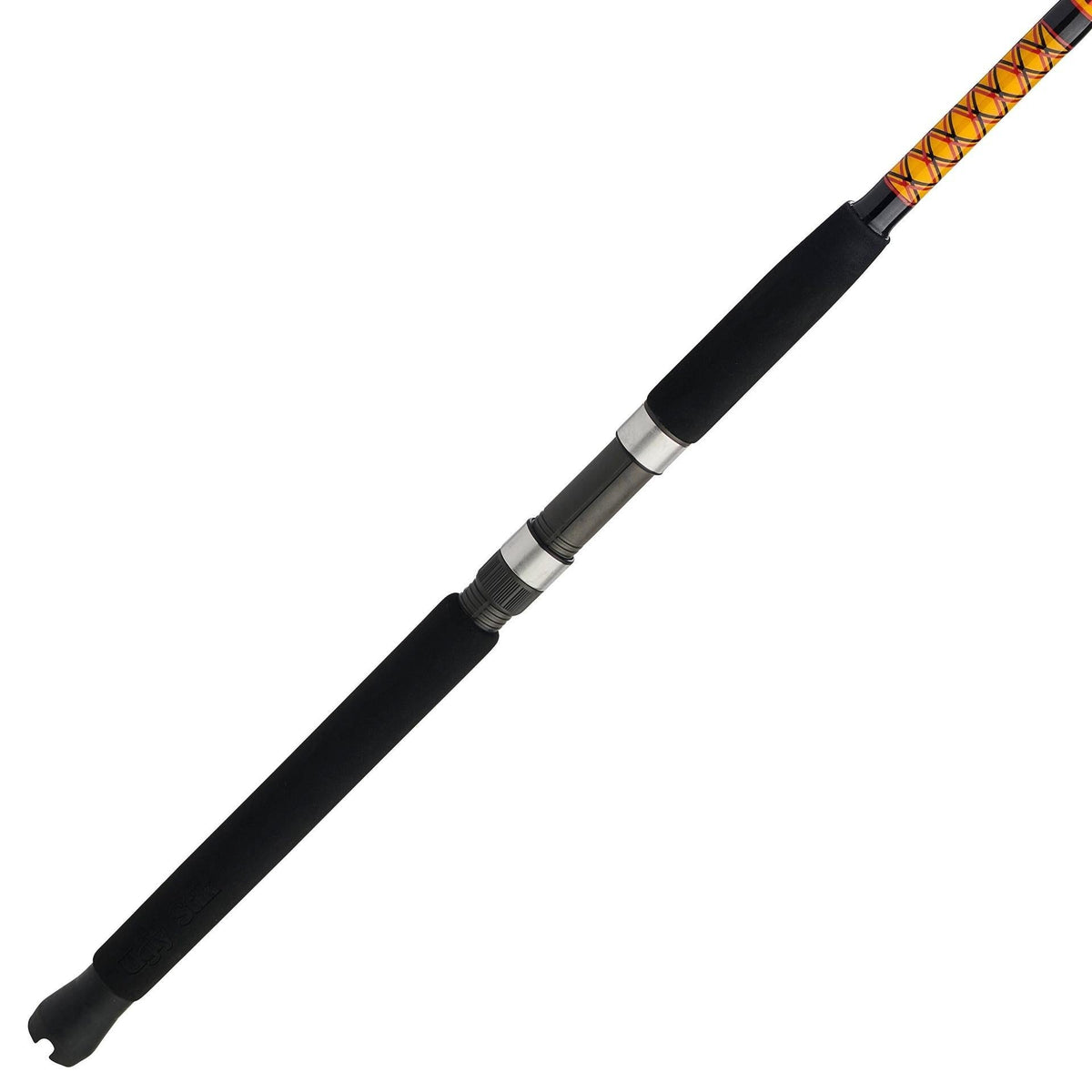 Bigwater 2-Piece Spinning Rod