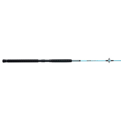 Carbon Jigging Spinning Rod